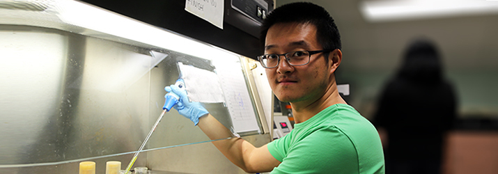 Xiao Lui conducts molecular and cellular biology research with Dr. Allan Showalter.