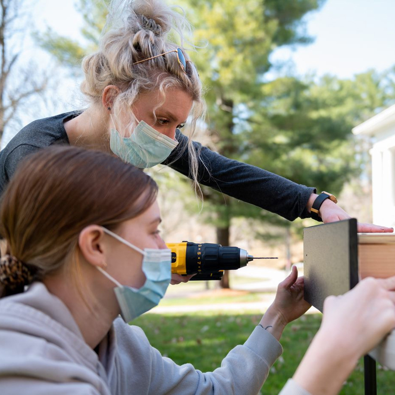 Students construct a bat house on campus