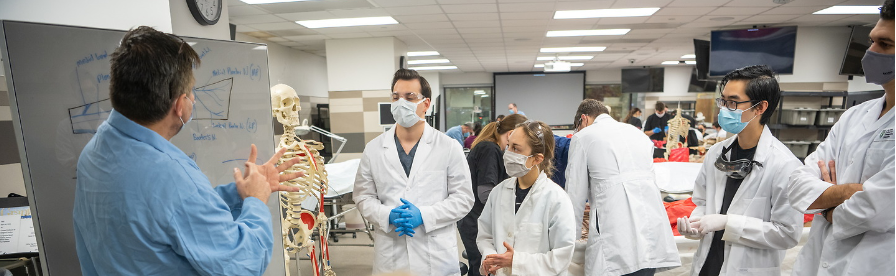 Students learning in the medical morphology lab