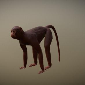 virtually drawn monkey