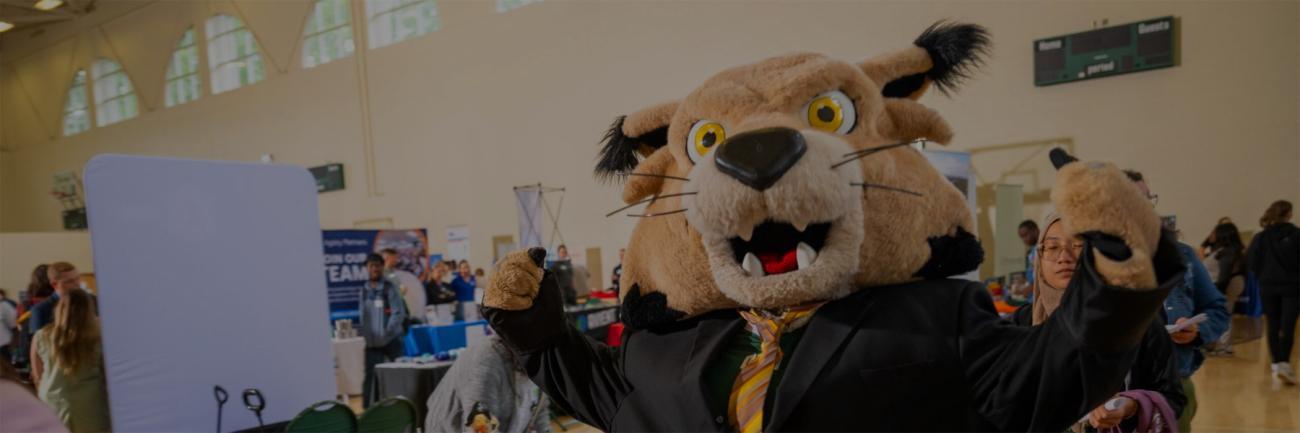 Rufus Bobcat wears a suit at a career fair