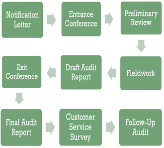 Complete Audit Process Diagram