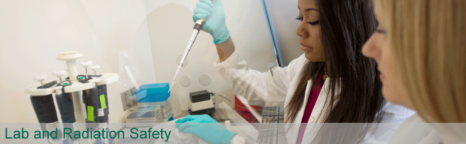 Two women in a lab