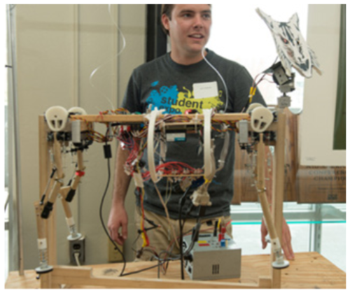 Cable driven robotic joint