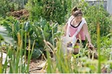 OHIO Student Farm