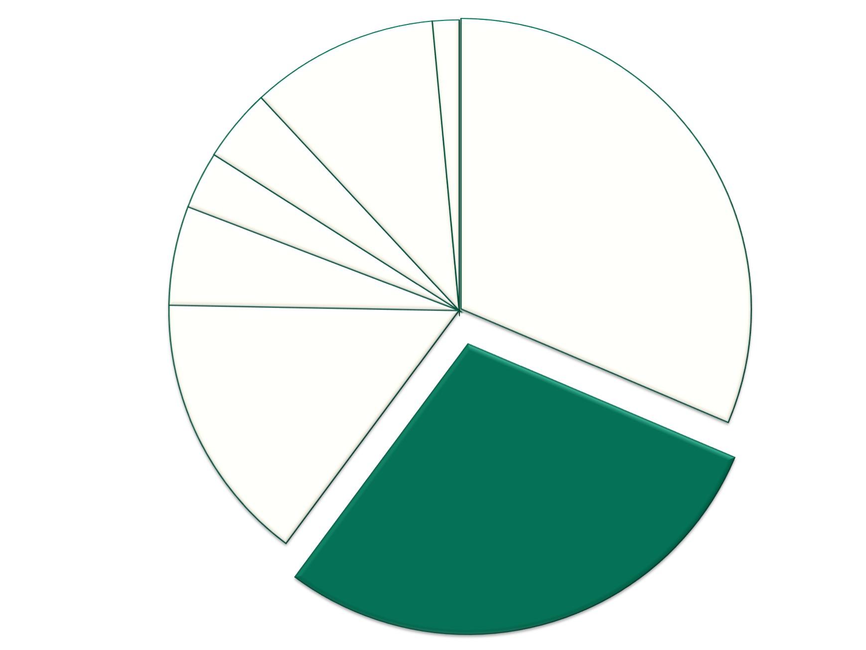 Pie Graph depicting 28.8%