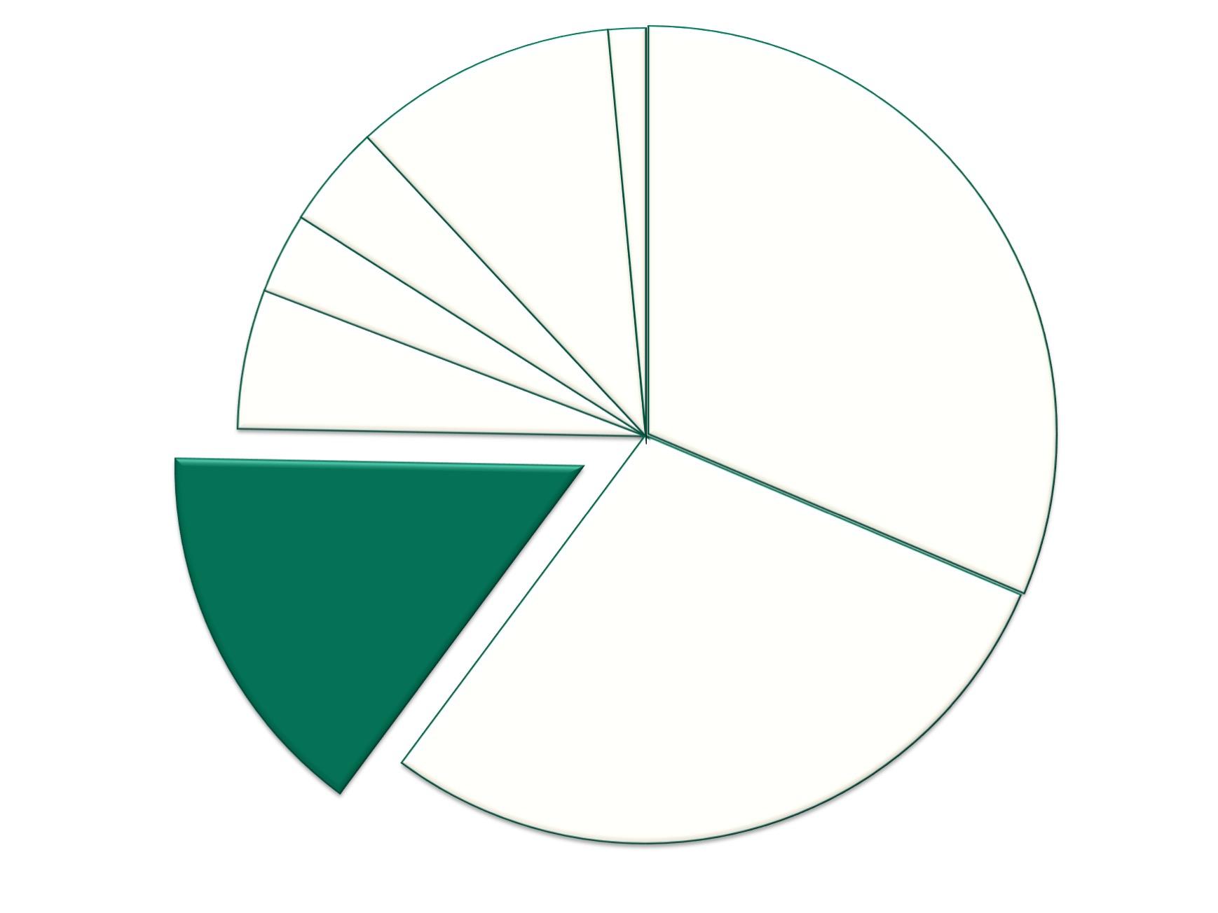Pie Graph depicting 15.78%