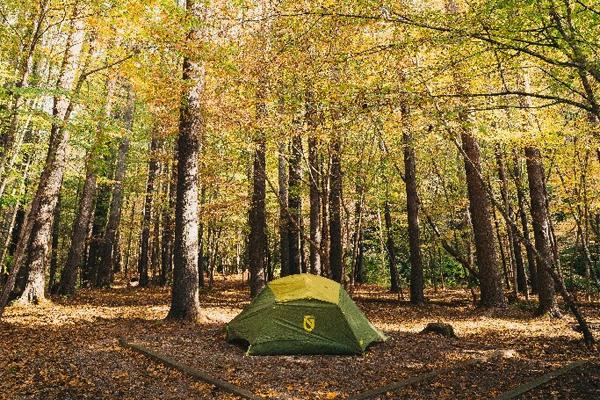 Tent surrounded by trees