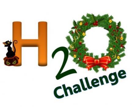 H20 Challenge written in