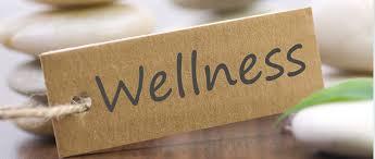 Wellness written on a wooden block.