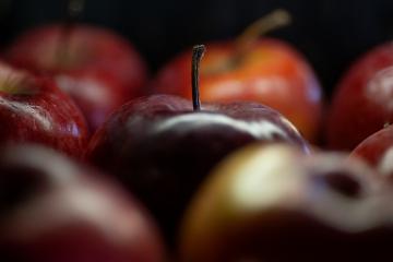 Apples are arranged on a table.