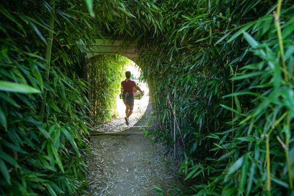 A student carries a basket of vegetables through the portal to the Ohio University Student Farm.