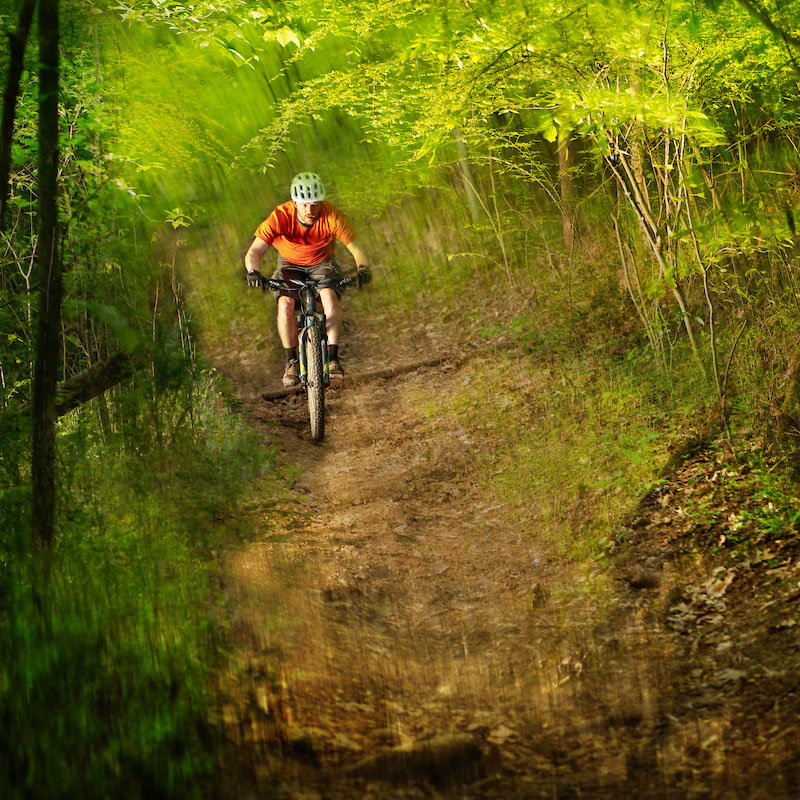 A person rides a mountain bike down a hill.