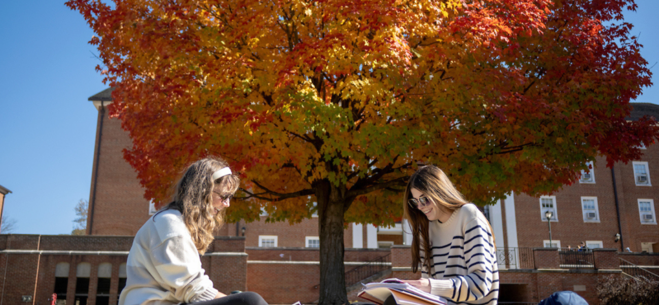 Students on Ohio University Campus studying in the leaves