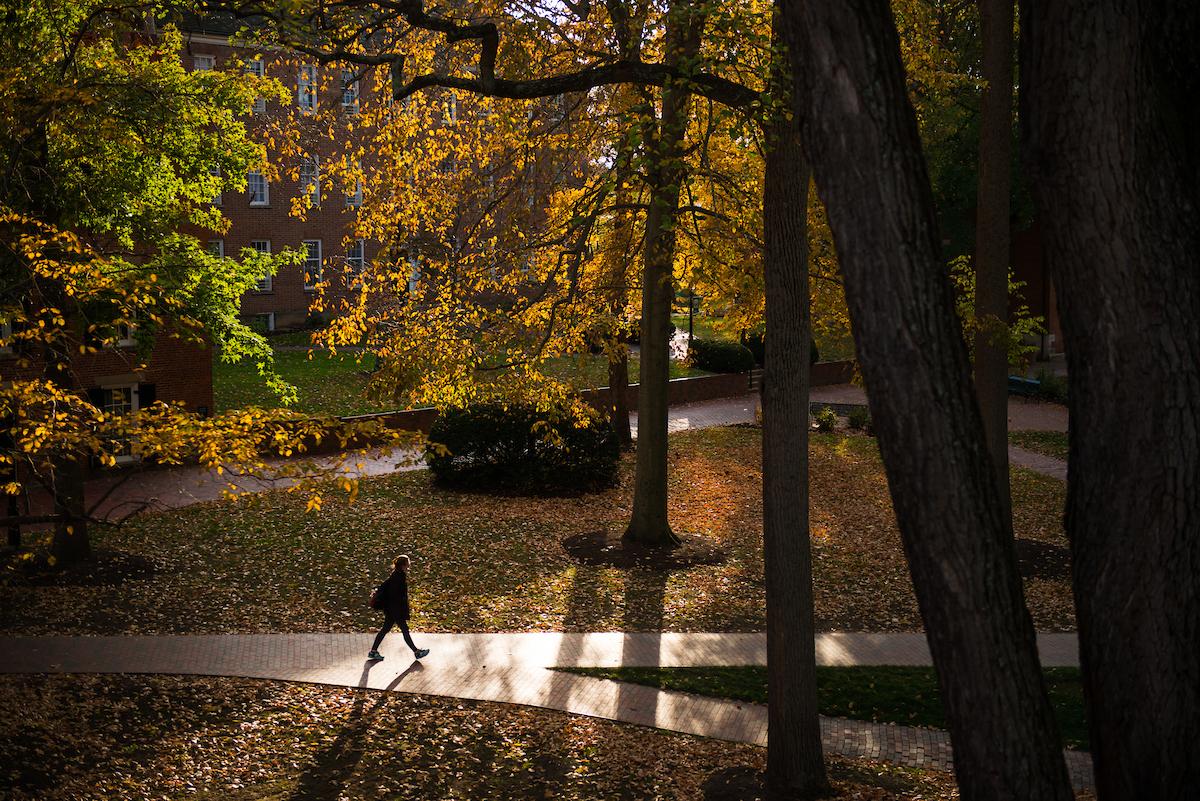 A student walks on College Green on Ohio University campus in the fall.