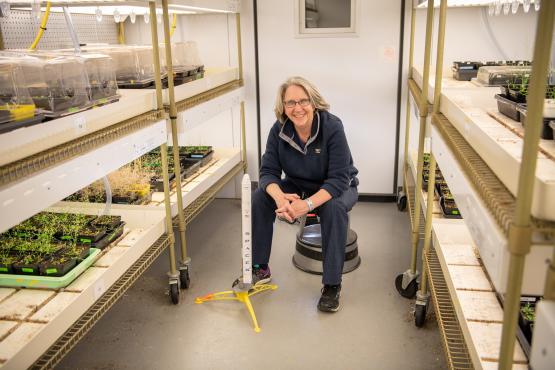 2024 Distinguished Professor Sarah Wyatt, Ph. D., Environmental and Plant Biology