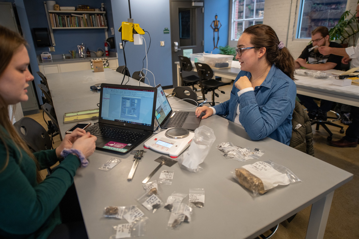 Anthropological Sciences Lab work area