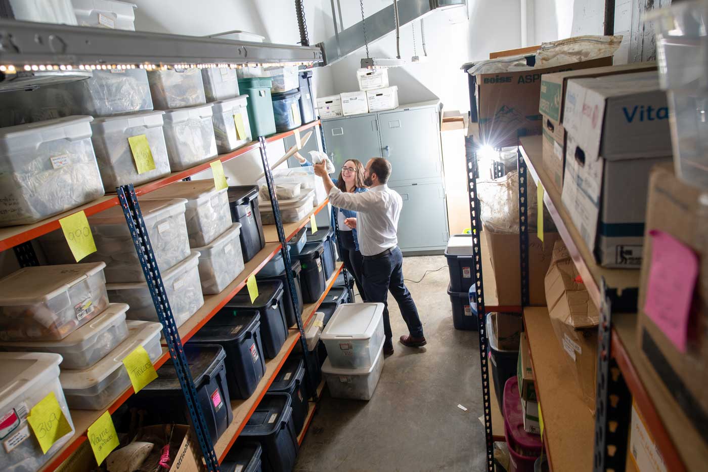 The Anthropological Sciences lab includes a storeroom full of samples.