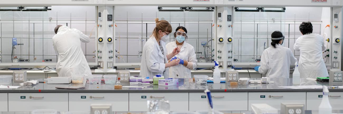 Undergraduate students work in a chemistry lab