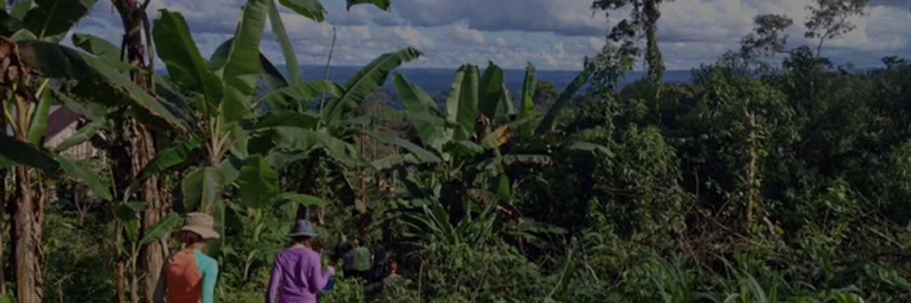 Global Health Ecuador participants in a field