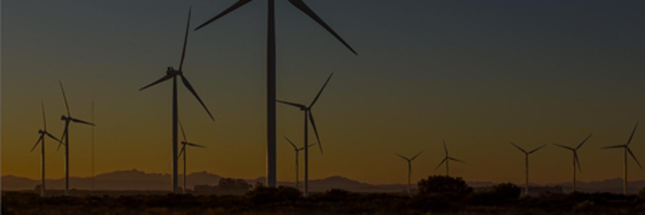 Windmills on the horizon