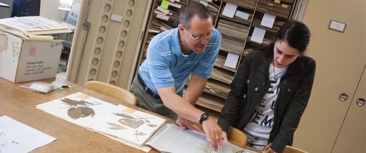 Drs. Harvey Ballard and Juliana de Paula-Souza are classifying the known species in the violet family.