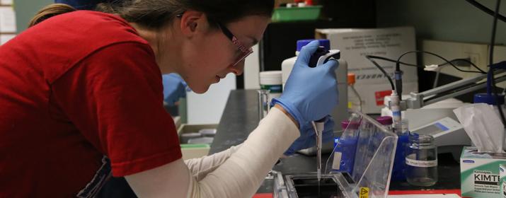 Megan Osika ‘16 works on how plants respond to gravity in the Wyatt Lab.