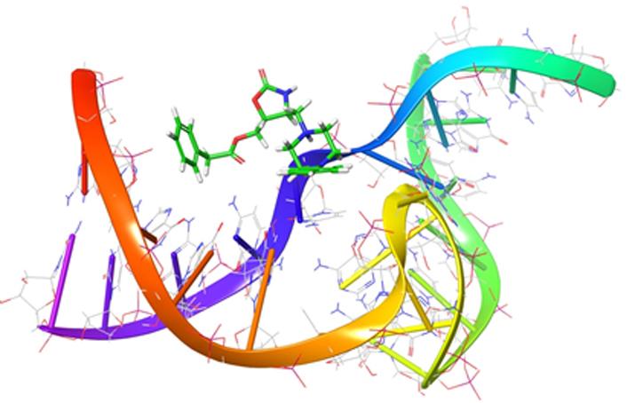 Riboswitch-targeted Drug Discovery illustration