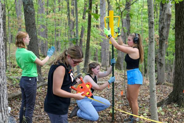 Setting fence posts in the woods