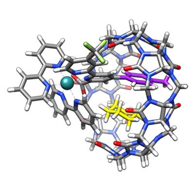 Cucurbit[8]uril macrocycle