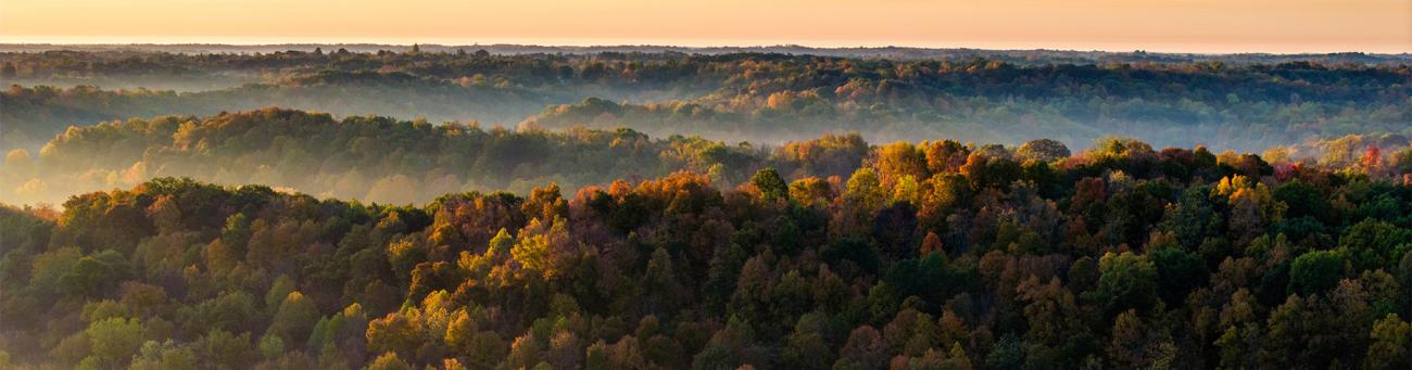 An aerial view of trees during sunset in Athens, Ohio.