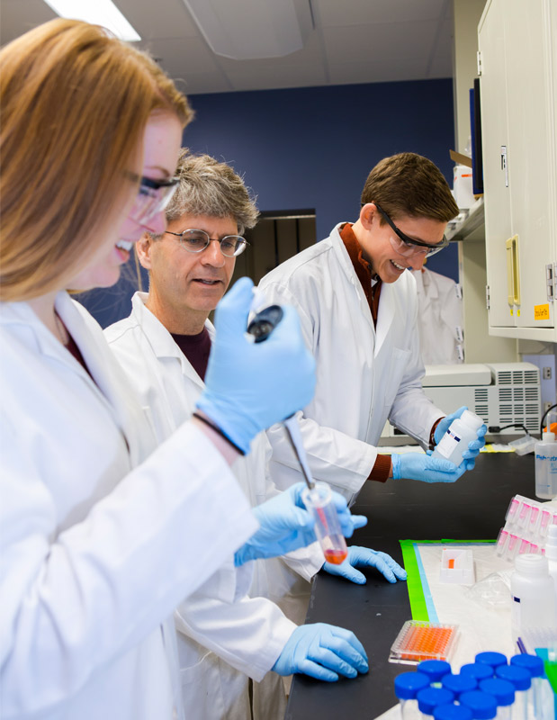 Collaborative research receives NIH grant, strives to prevent disease ...