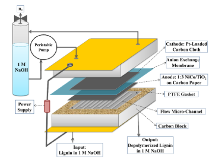 Electrochemical Conversion of Biomass