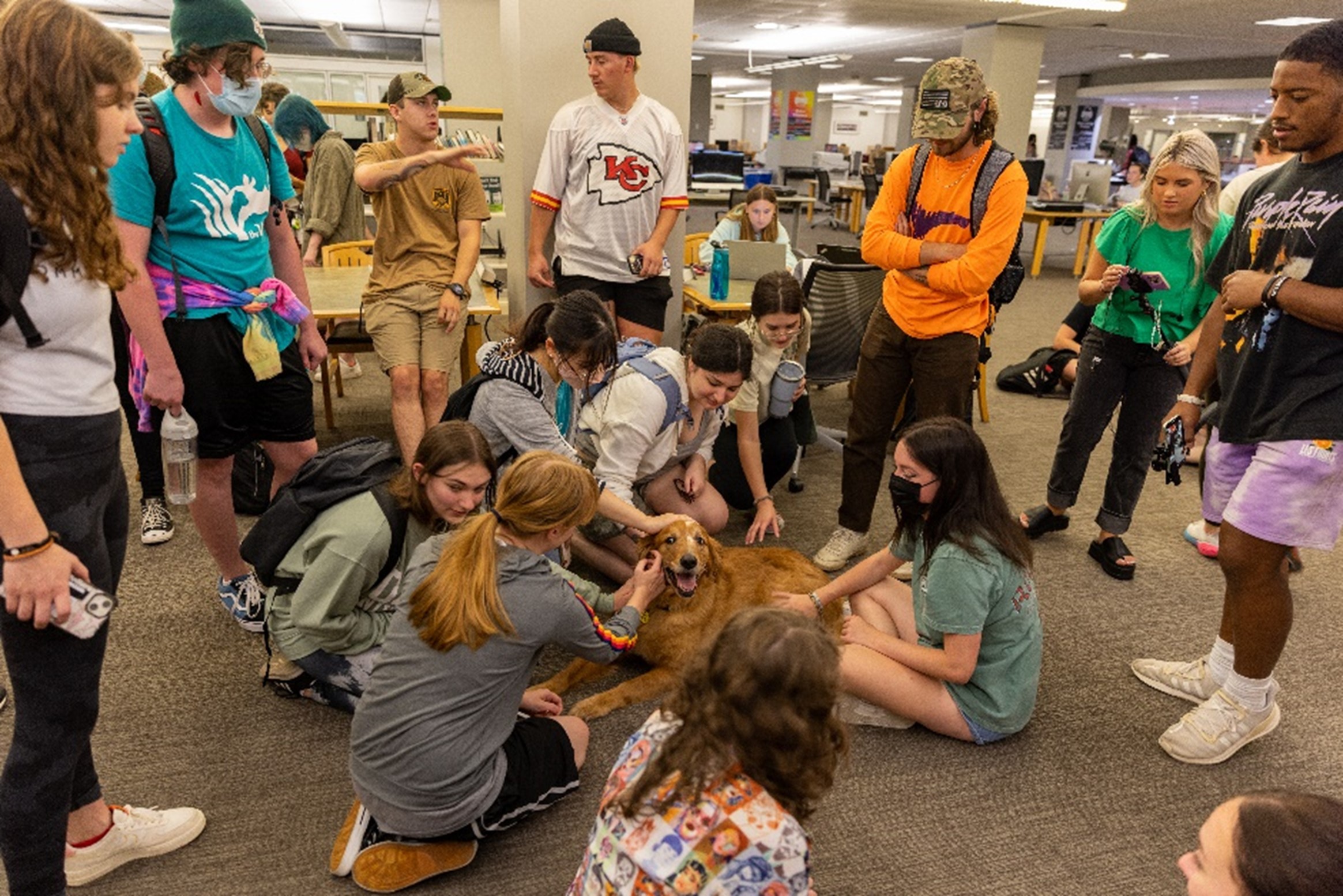 Photo of therapy dogs Dug and Penny interacting with students 