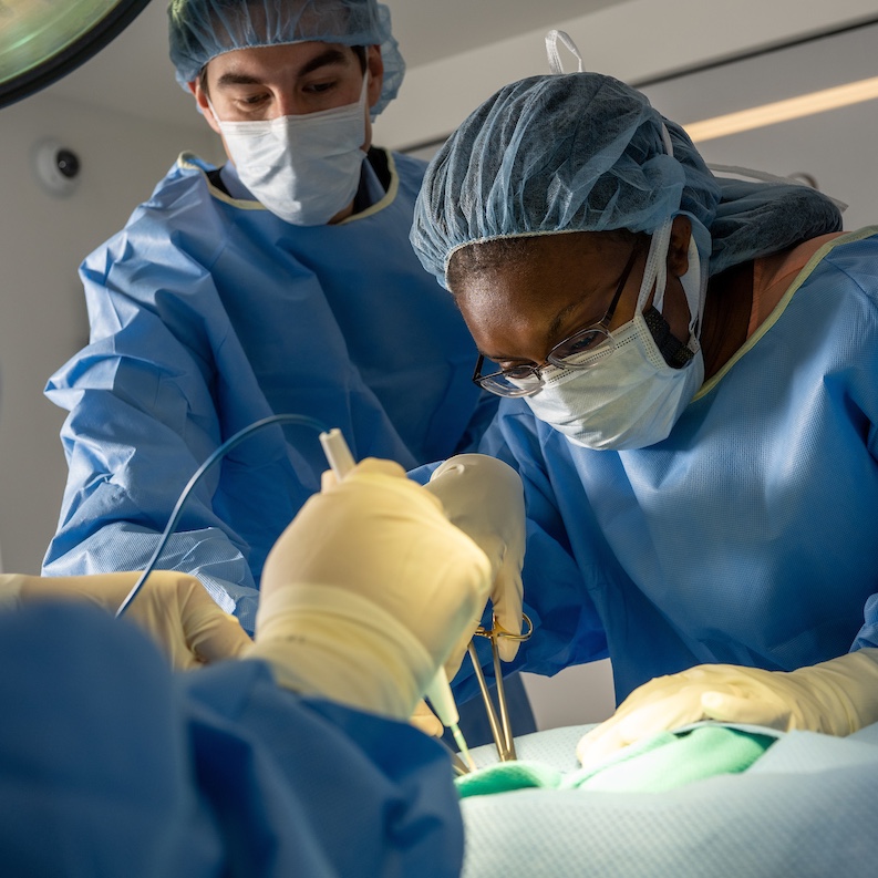 Medical students work on a patient on an operating table