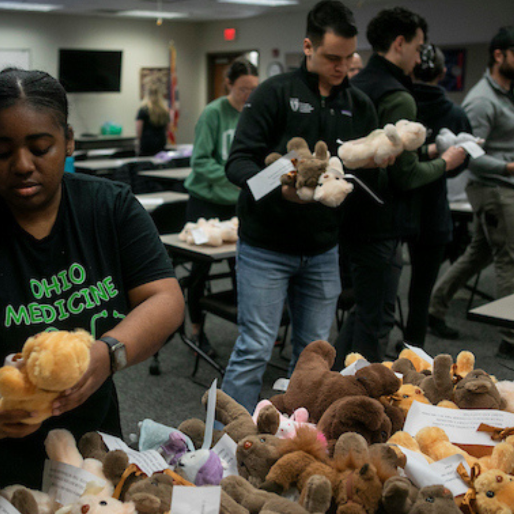 HCOM students handling stuffed teddy bears