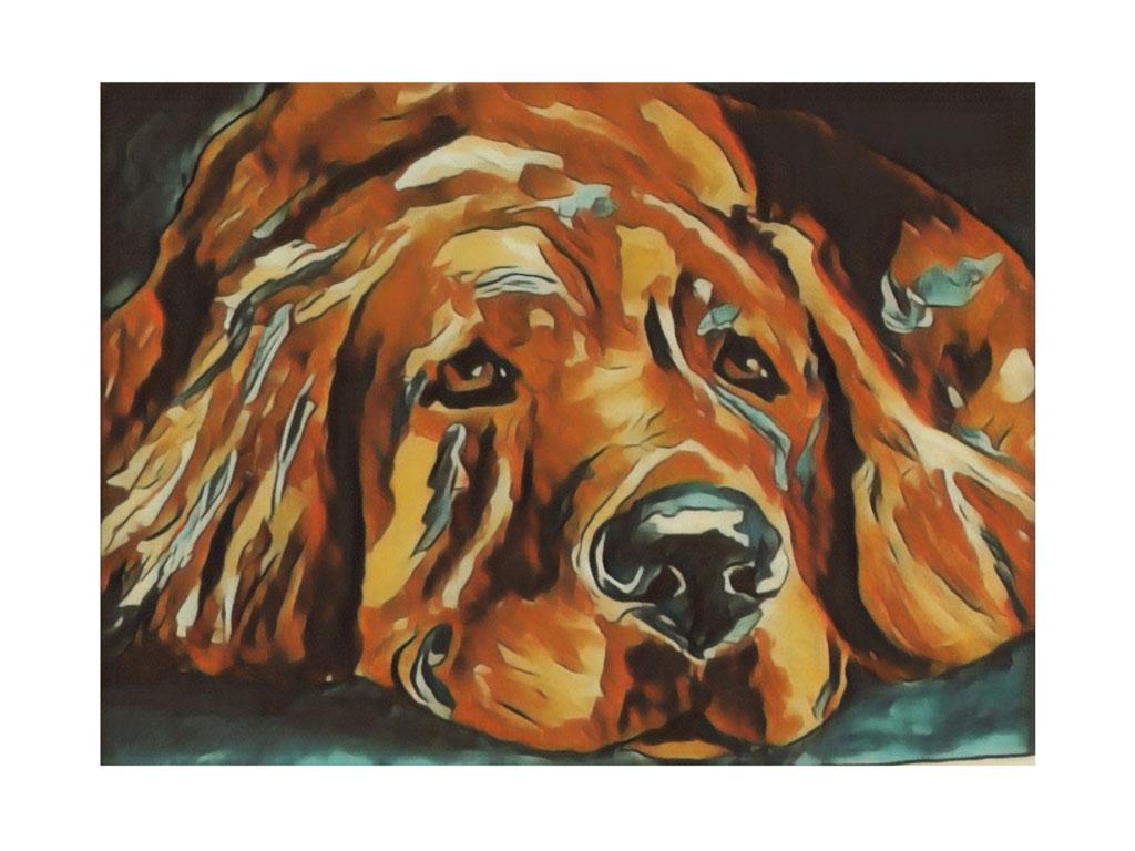 Painting of the face of a yellow dog laying down