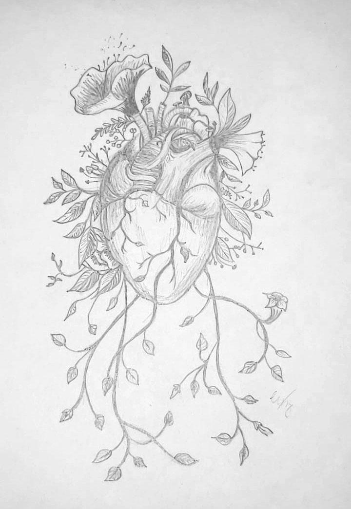 pencil drawing of a heart with flowers, vines and leaves growing out of the heart.