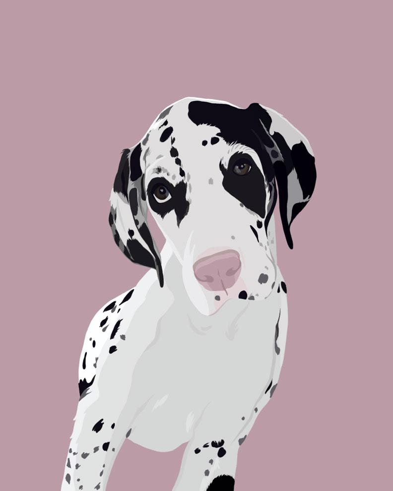 Drawing of a white puppy with black spots on a pink background