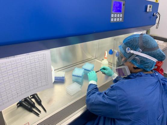 Covid testing at CISeAL