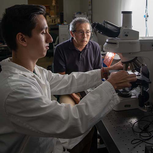 A student and professor examine something under a microscope in a science lab