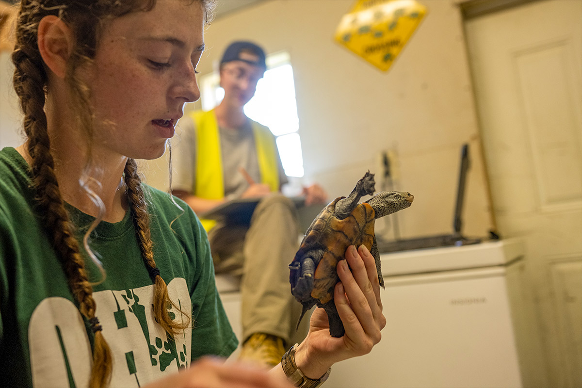 Student studying turtle species in Maryland 