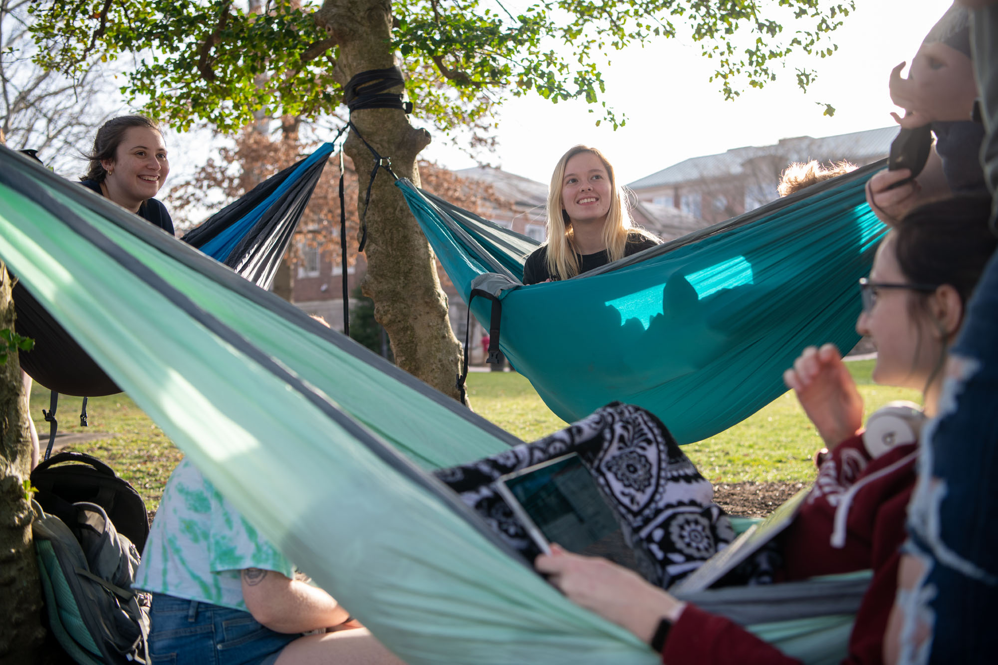 College students smile at each other while they sit in hammocks outdoors