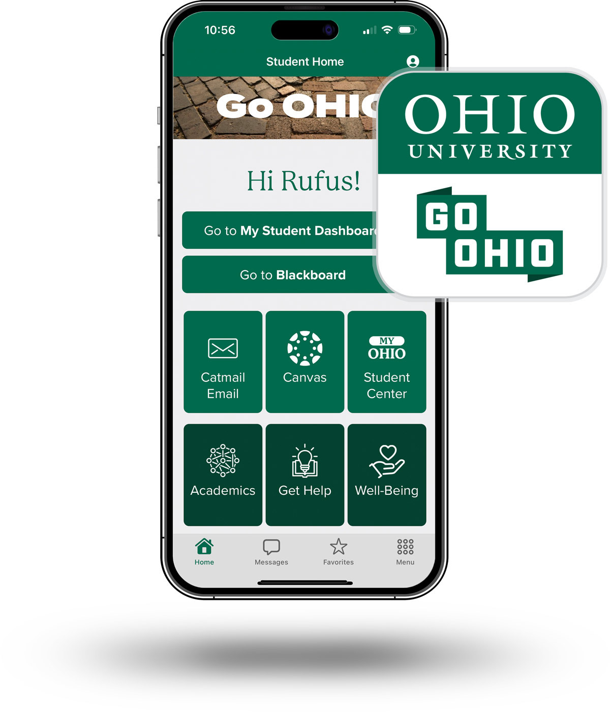 Screenshot of the Go OHIO app dashboard and app icon