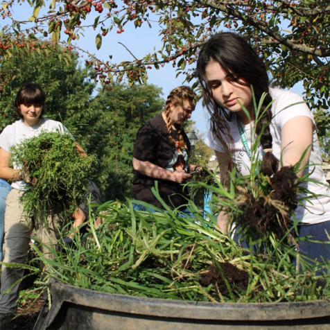 Students weeding the Baker Edible Garden