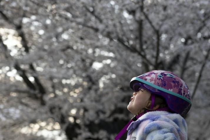 photo of child with cherry trees