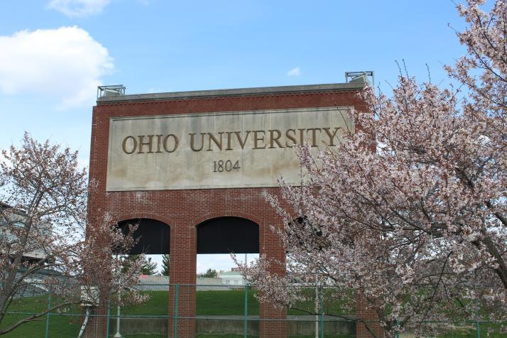 Ohio University Cherry Trees