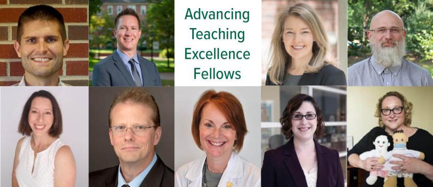 Teaching Fellows Collage