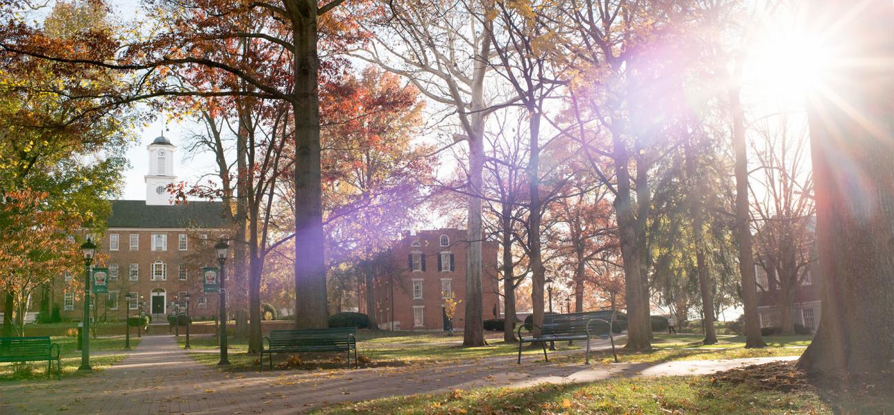 The sun shines over College Green and Cutler Hall.