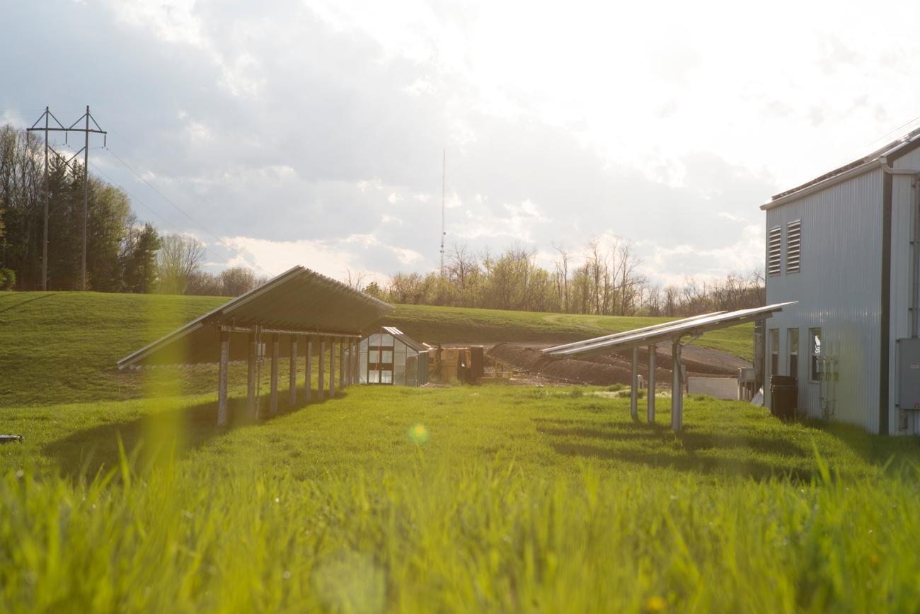 solar panels in a field